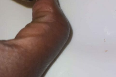 Cliquez pour zoomer ! Cupcakes au nutella Thermomix par gigimrc