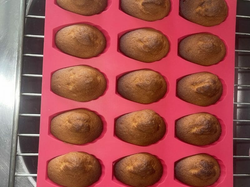Cliquez pour zoomer ! Madeleines Thermomix par gigimrc