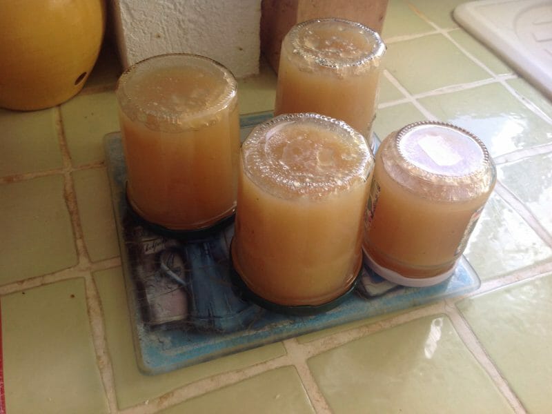 Cliquez pour zoomer ! Confiture de poires à la cannelle Thermomix par Coco3013