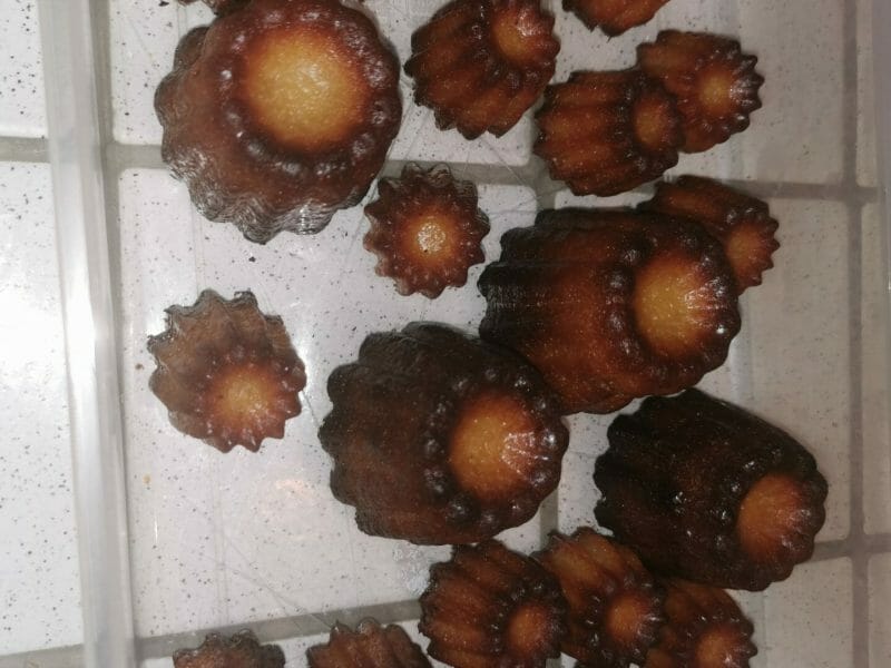 Cliquez pour zoomer ! Cannelés Thermomix par melanie33113