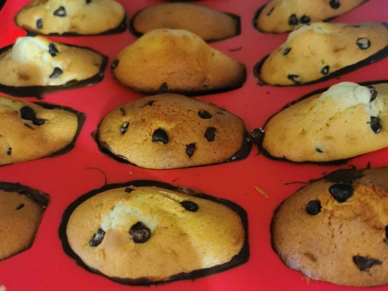 Cliquez pour zoomer ! Madeleines Thermomix par melanie33113