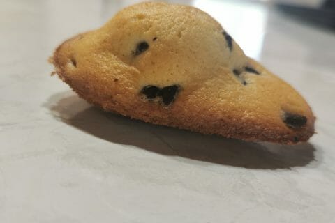 Cliquez pour zoomer ! Madeleines Thermomix par melanie33113