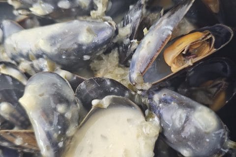 Cliquez pour zoomer ! Moules sauce poulette Thermomix par patycookie