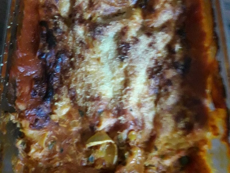 Cliquez pour zoomer ! Lasagnes au poulet et poivrons Thermomix par myriam_184