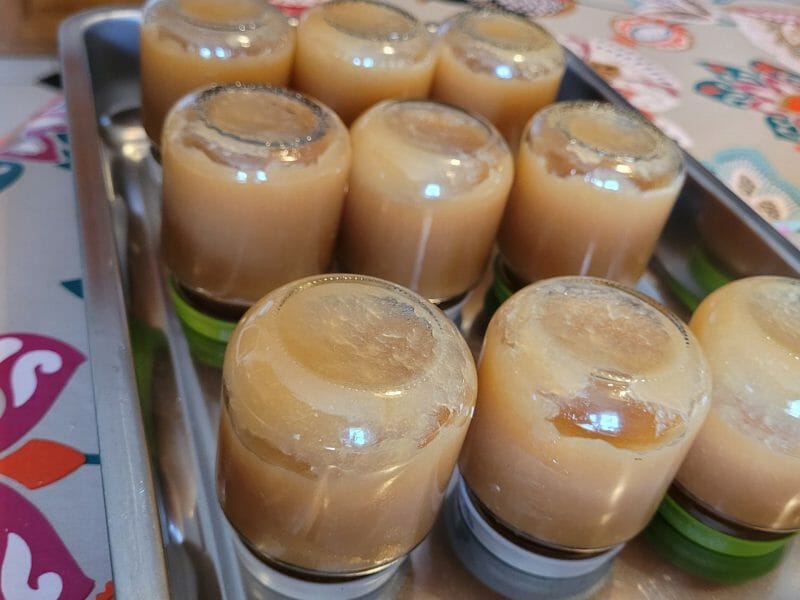 Compote Pomme Poire Au Thermomix Cookomix