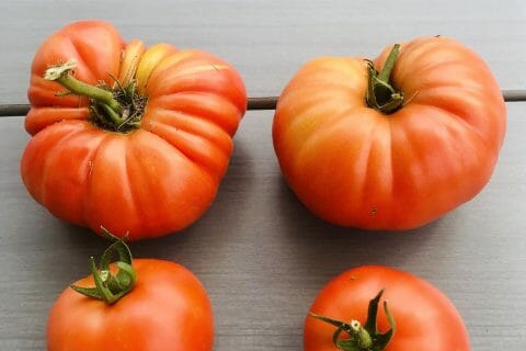 Cliquez pour zoomer ! Photo de loxley