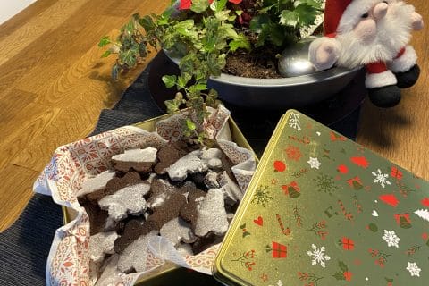 Cliquez pour zoomer ! Basler Brunsli Thermomix par Chan tal