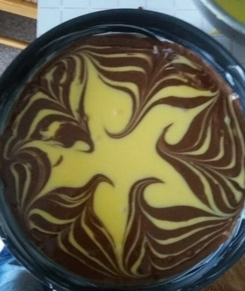 Cliquez pour zoomer ! Gâteau zébré Thermomix par Adenium13