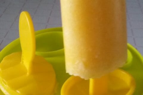 Cliquez pour zoomer ! Oranges givrées Thermomix par Adenium13