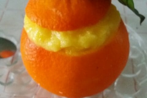 Cliquez pour zoomer ! Oranges givrées Thermomix par Adenium13