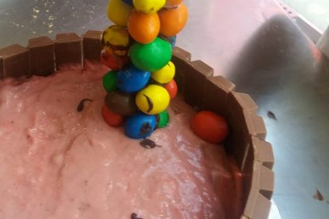 Cliquez pour zoomer ! La mare aux cochons Thermomix par Adenium13