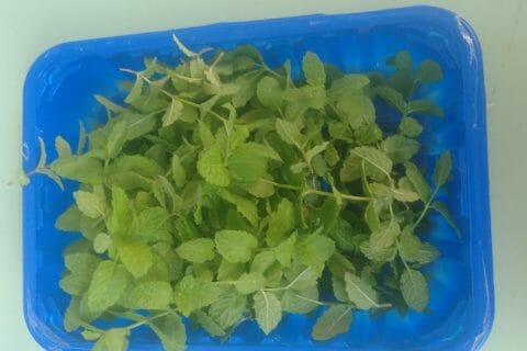 Cliquez pour zoomer ! P_20200508_141613_1