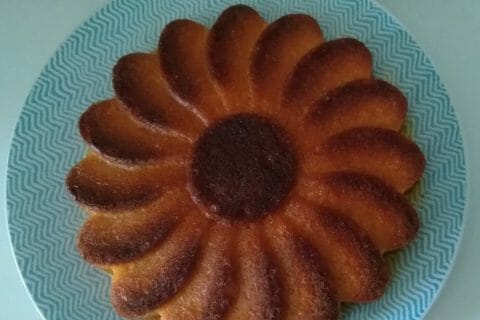 Cliquez pour zoomer ! Gâteau à la clémentine au Thermomix