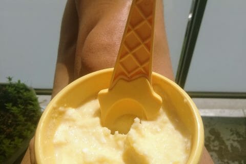 Cliquez pour zoomer ! Sorbet Piña Colada au Thermomix