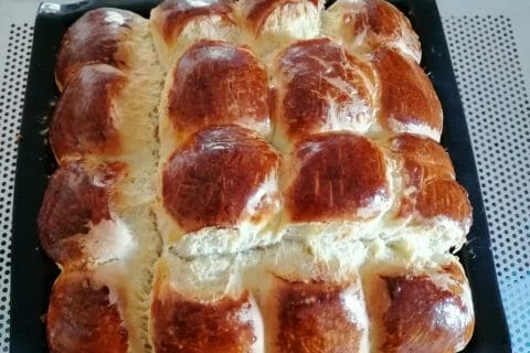 Cliquez pour zoomer ! Photo de chien-et-chat