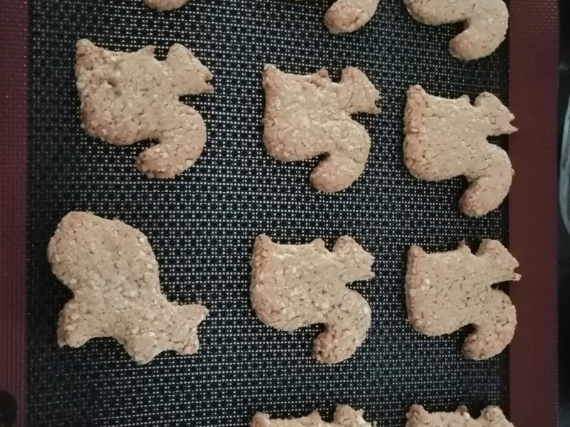 Cliquez pour zoomer ! Biscuits cacahuètes et flocons d’avoine Thermomix par chien-et-chat
