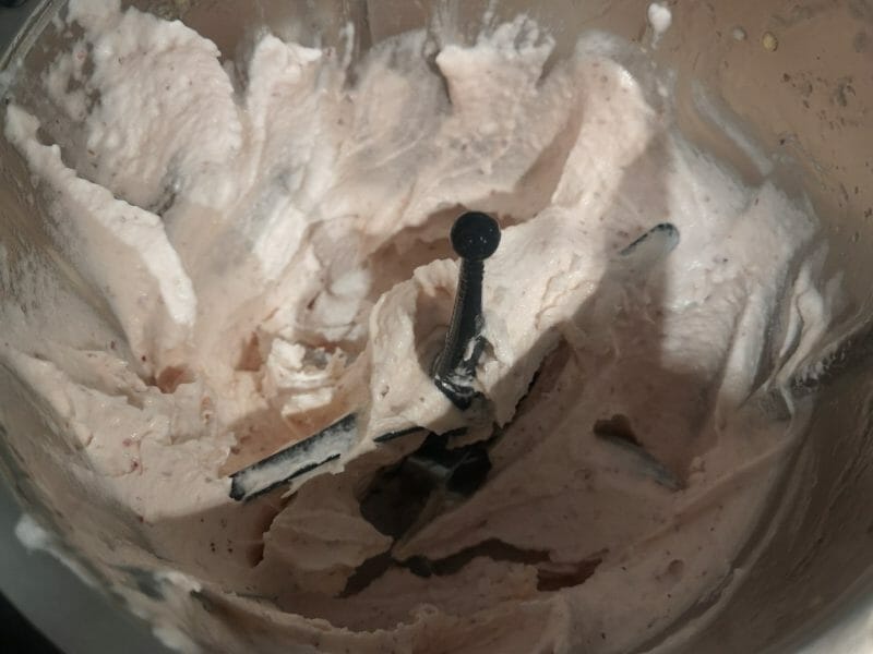 Cliquez pour zoomer ! Sorbet pêche Thermomix par Sandra Trevisiol