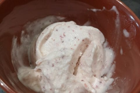 Cliquez pour zoomer ! Sorbet pêche Thermomix par Sandra Trevisiol