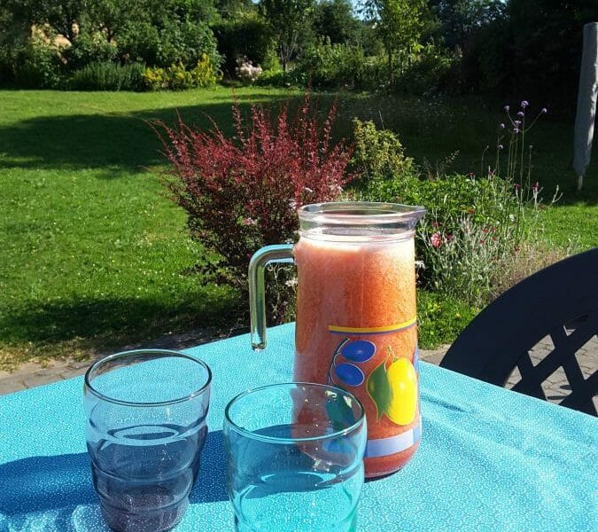 Cliquez pour zoomer ! Limonade à la fraise Thermomix par Floflo
