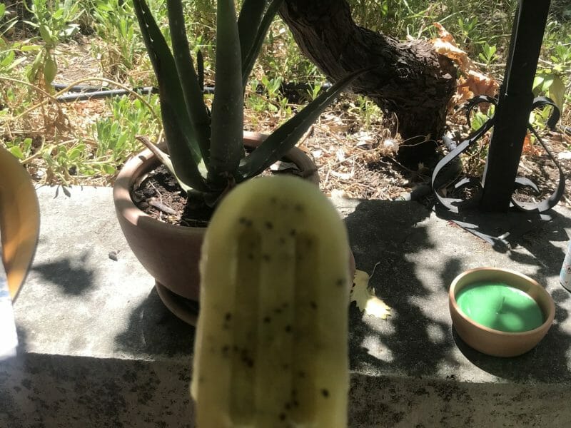 Cliquez pour zoomer ! Glace kiwi banane Thermomix par camjou