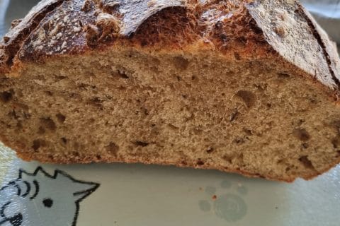 Cliquez pour zoomer ! Photo de luluchette