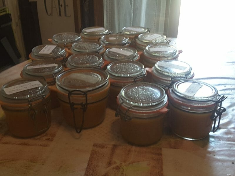 Compote De Peches Au Thermomix Cookomix Compote De Peches Au Thermomix Cookomix