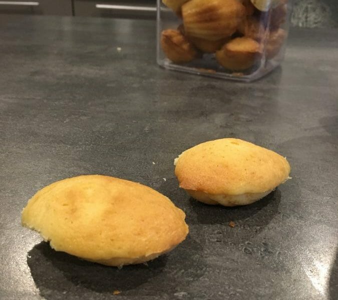 Cliquez pour zoomer ! Madeleines Thermomix par croissant de lune
