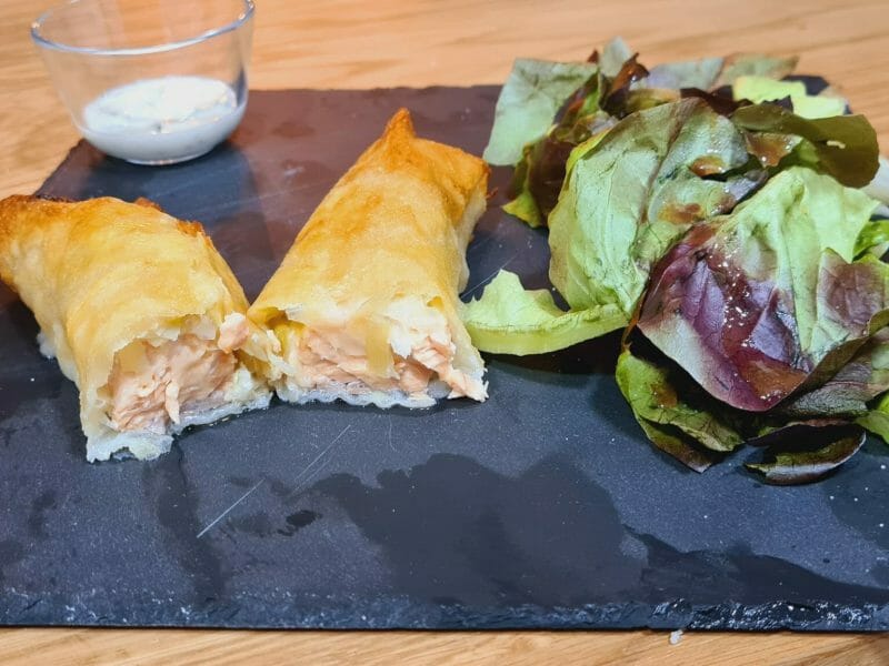 Cliquez pour zoomer ! Brick de saumon et poireaux Thermomix par karinealves