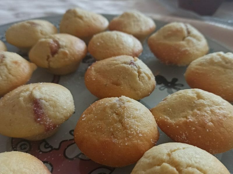 Cliquez pour zoomer ! Doffins Thermomix par noel2020parfait