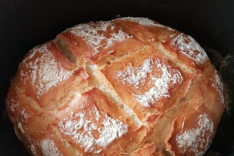 Photos des recettes