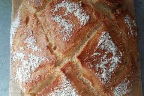 Photos des recettes