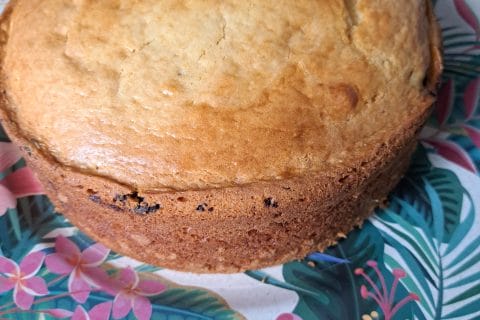 Cliquez pour zoomer ! Gâteau au yaourt Thermomix par sabouha29