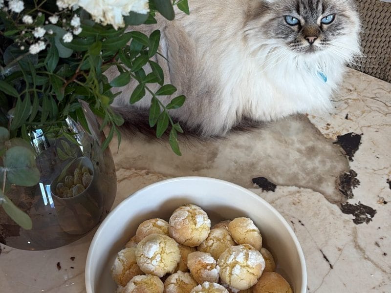 Cliquez pour zoomer ! Craquelés au citron Thermomix par Paupauu