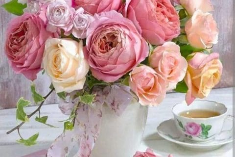 Cliquez pour zoomer ! Photo de zozofat