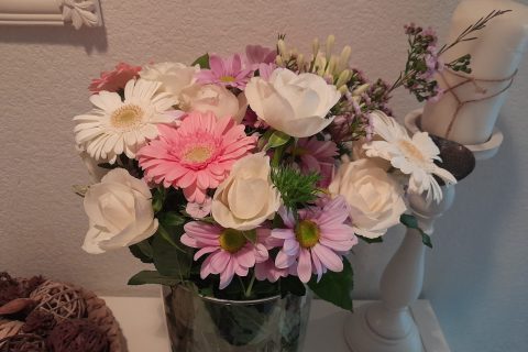 Cliquez pour zoomer ! Photo de zozofat