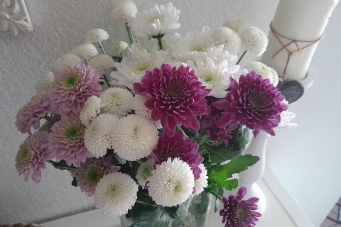 Cliquez pour zoomer ! Photo de zozofat