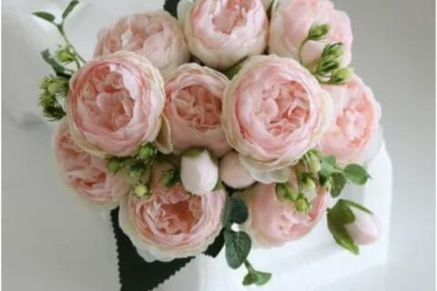 Cliquez pour zoomer ! Photo de zozofat