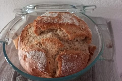 Cliquez pour zoomer ! Photo de zozofat