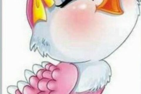 Cliquez pour zoomer ! Photo de zozofat