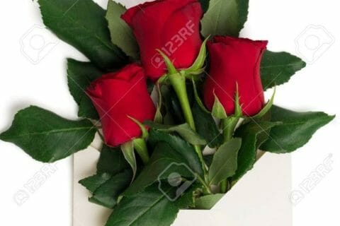 Cliquez pour zoomer ! Photo de zozofat