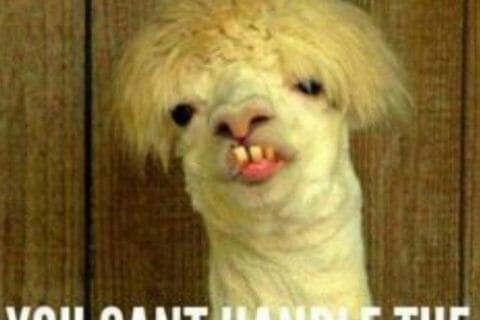 Cliquez pour zoomer ! Photo de zozofat