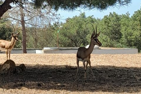 Cliquez pour zoomer ! Photo de zozofat