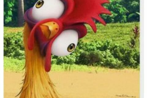 Cliquez pour zoomer ! Photo de zozofat