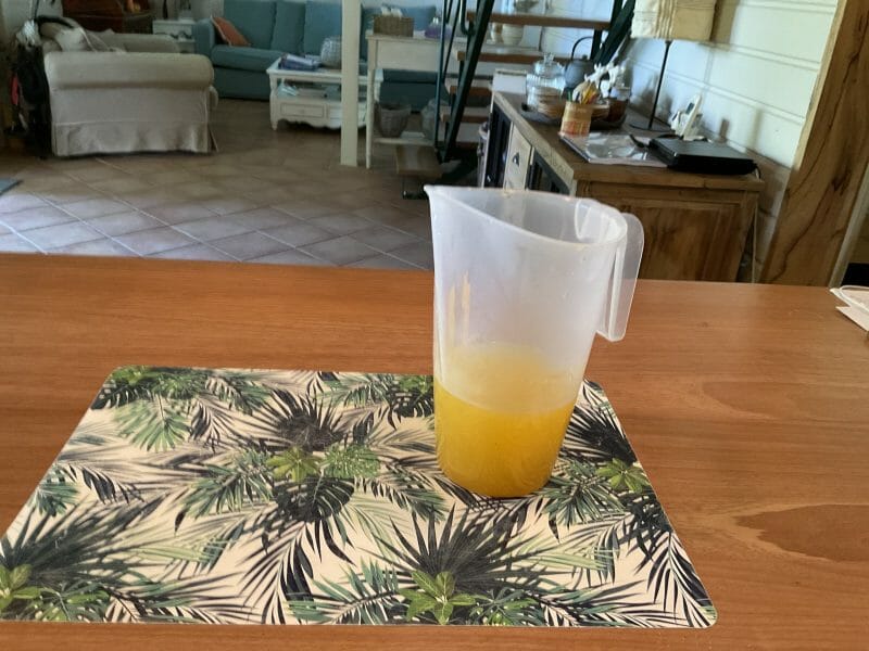 Cliquez pour zoomer ! Infusion citron, gingembre et miel Thermomix par christiz