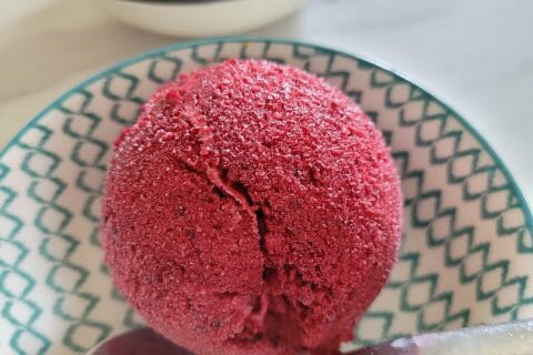 Cliquez pour zoomer ! Sorbet aux mûres Thermomix par ivyblue