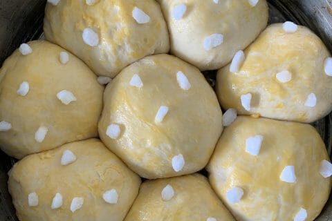 Cliquez pour zoomer ! Brioche Buchty Thermomix par carocoppe