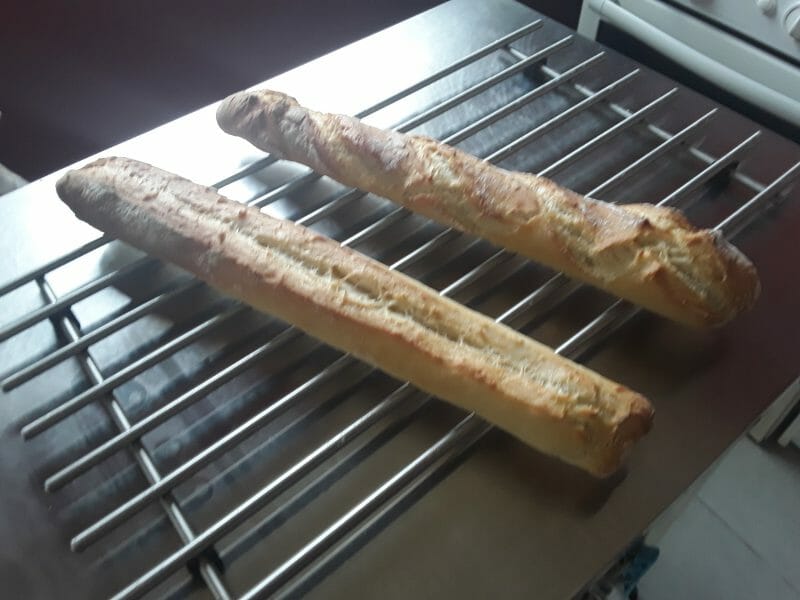 Cliquez pour zoomer ! Baguettes Thermomix par michou47