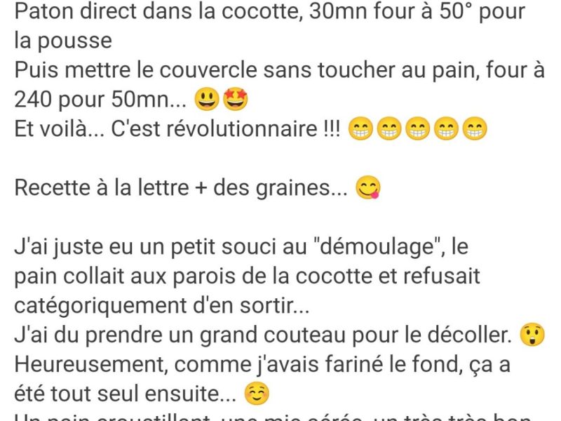 Cliquez pour zoomer ! Pain d’épeautre en cocotte Thermomix par pnat33