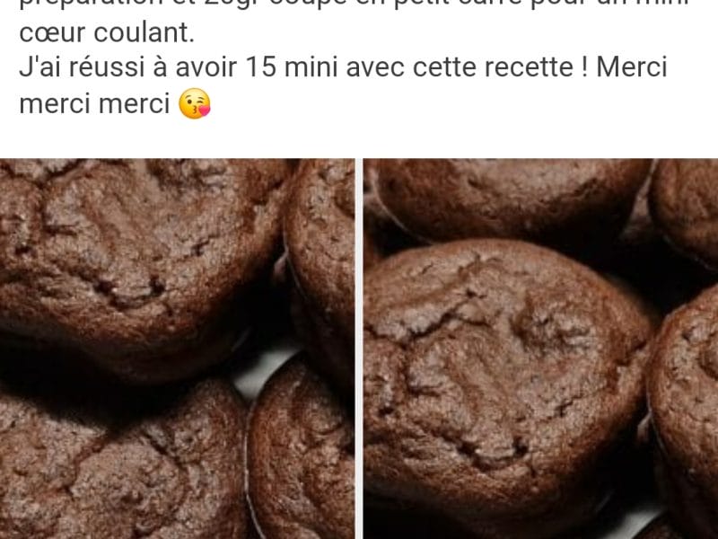 Cliquez pour zoomer ! Gâteau au chocolat et courgettes Thermomix par pnat33