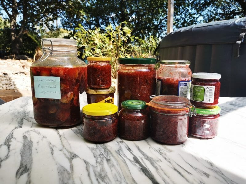 Cliquez pour zoomer ! Confiture de figues Thermomix par synthia_03